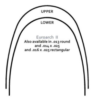 Archi Ni-Ti Termici EUROARCH II Archi Ni-Ti Termici EUROARCH II