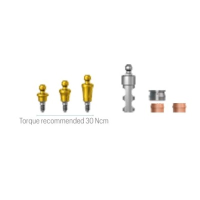 Ball Abutment JDIcon Plus