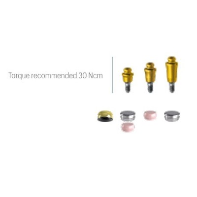 Emi Abutment JDIcon Plus