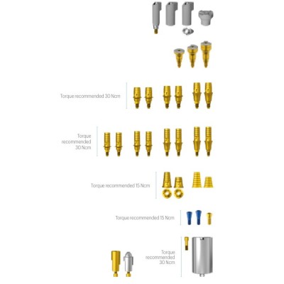 TiBase Abutment/JD ScanBody linea JDIcon Plus