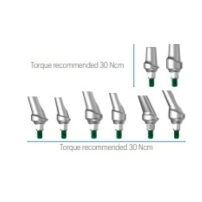 Anatomic abutment JD Evolution Plus