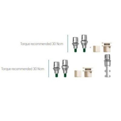 Rapid abutment JD Evolution Plus