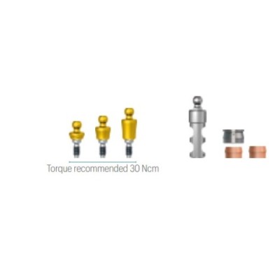 Ball abutment JD Evolution Plus