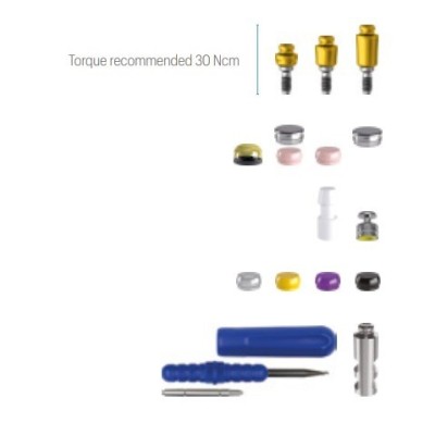 Emi abutment JD Evolution Plus