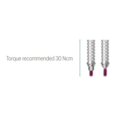 Temporary Abutment JDEvolution S