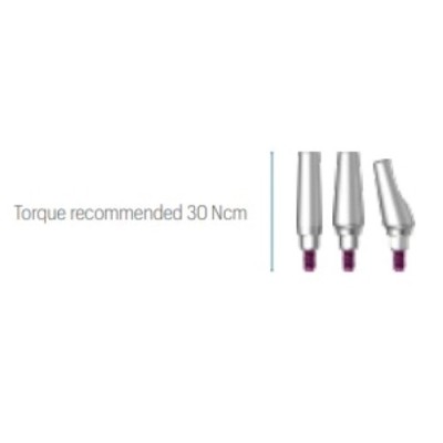 GP Abutment JDEvolution S