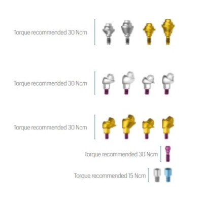 Conical Abutment JDEvolution S