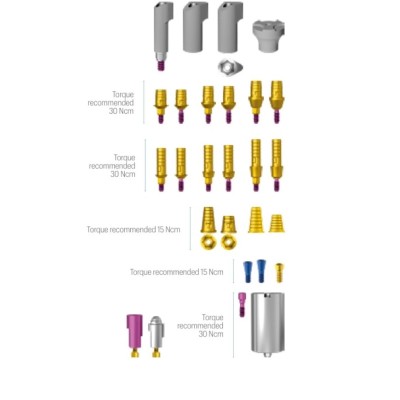TiBase, JDScanBody, Implant Replica CAD CAM linea JDEvolution S