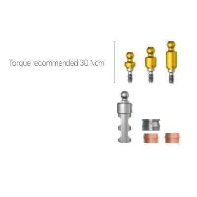 Ball Abutment JDEvolution S