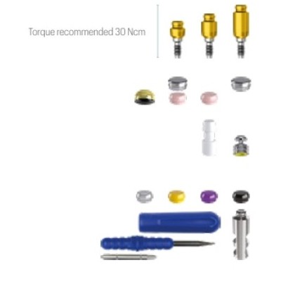 Emi Abutment JDEvolution S